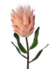 PROTEA GLITTER 24" PINK