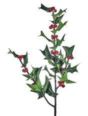 HOLLY SPRAY 30" VARIEGATED GRN