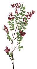 LEAF CINNAMON 31" GREEN/BURG