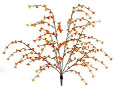 BITTERSWEET BUSH X6 22.5" ORG/YEL