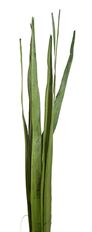 SUNPALM LEAVES GREEN 7/PK