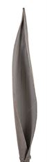 COCO BOAT 24" GRAY WASH