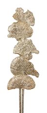 SPONGE MUSHROOM CHAMPAGNE GLIT 5/PK