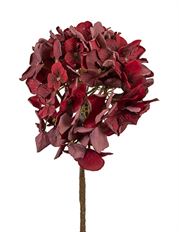 HYDRANGEA DRIED LOOK 24" CRANBERRY