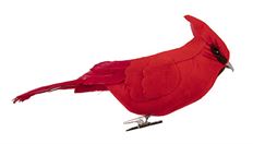 CARDINAL 7" W/CLIP BX3 RED