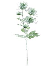 DAHLIA PINNATA SPRAY 28" SAGE