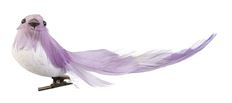 BIRD W/CLIP 3 ASSORTED STYLES LAV
