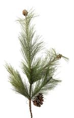 MABRY PINE SPRAY 22"