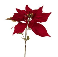 POINSETTIA 29" RED