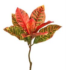 CROTON 17" MULTI