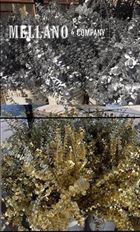 EUCALYPTUS BABY METALLIC