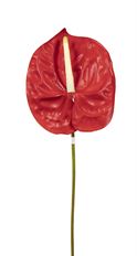 ANTHURIUM SPRAY 24" RED