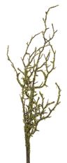 TWIG W/MOSS 23.5" GREEN