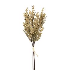 MIMOSA 19" X3 CREAM