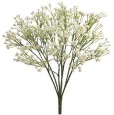 BABY'S BREATH BUSH CREAM