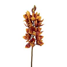 ORCHID CYMBIDIUM 36" BROWN