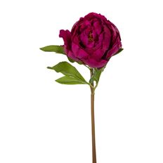 PEONY NAT TOUCH 23" FUCHSIA