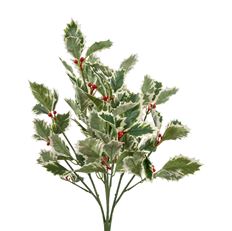 BERRY BUSH HOLLY 21" VARIGATED