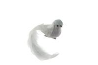 BIRD W/CLIP 18CM 3 ASST GREY