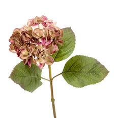 HYDRANGEA 26" GRAPE