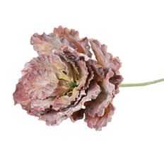 CABBAGE LARGE BURGUNDY