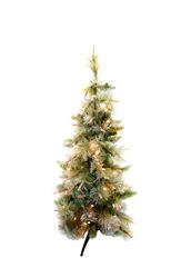 TREE WINFIELD 36"X19" 50 LTS