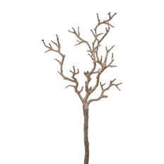 MANZANITA GLITTER 22"