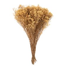 BLOOM BROOM NATURAL