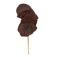 MUSHROOM SPONGE STEM 16" CHOCOLATE