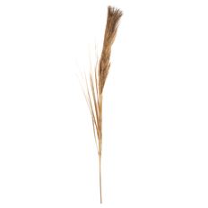SPRAY 43" PLUME METALLIC GRASS GOLD