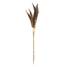 OKRA ON STEM ANTIQUE BRONZE 6/BU