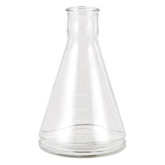 GLASS BEAKER 6" CLEAR