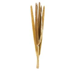 MILLET 25" PEARL NATURAL