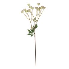 NIGELLA SPRAY 24" CREAM/LAVENDER