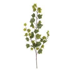 IVY HOLLAND SPRAY X3  35"