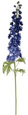 DELPHINIUM 47" BLUE