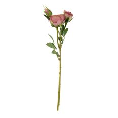 ROSE ENGLISH GARDEN X3 17" LAVENDER