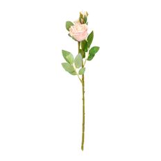 ROSE ENGLISH GARDEN X3 17" PINK