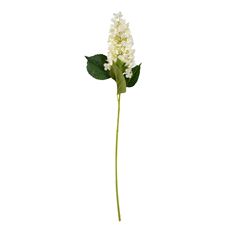 HYDRANGEA OAK STEM 5"X39" CR WH