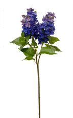 LILAC SPRAY 35" BLUE