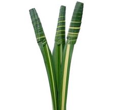 FLAX GREENS (HALA)