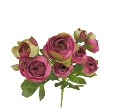 RANUNCULUS SPRAY X10 22" BURG