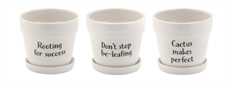 POT W/SAUCER WITTY 4" 3 ASTD