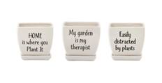 POT W/SAUCER SQUARE WITTY 4.5"