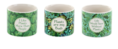 POTTERY WITTY 4" 3 ASST GREEN