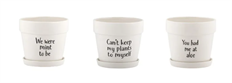 POT W/SAUCER WITTY LARGE