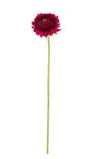 CHRYSANTHEMUM  STEM 18.5" BURGUNDY
