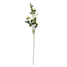 ROSE SPRAY X5 32" CREAM