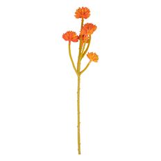 SUCCULENT X6 12.5" BG/6 ORANGE