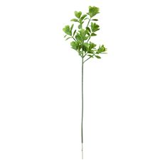 BOXWOOD SPRAY 29" LT GREEN